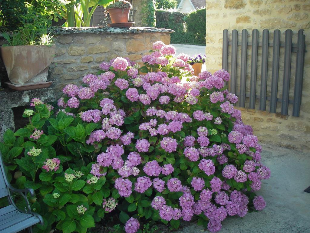 Les 4 Saisons Guest House Sarlat-la-Canéda Exterior photo